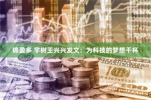 锦盈多 宇树王兴兴发文：为科技的梦想干杯