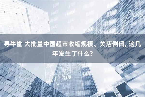 寻牛堂 大批量中国超市收缩规模、关店倒闭, 这几年发生了什么?