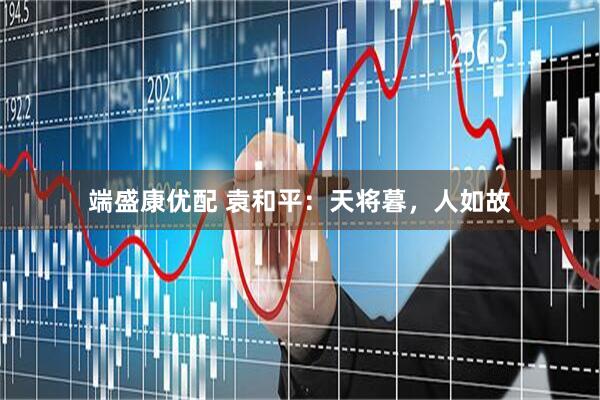 端盛康优配 袁和平：天将暮，人如故